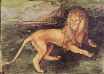 Lion by Albrecht Dürer
